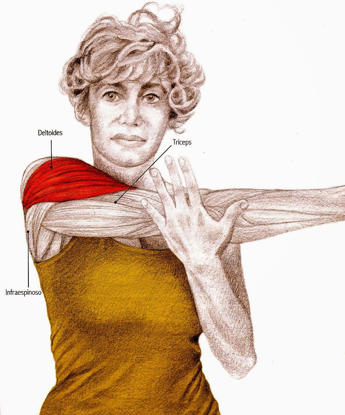 Osteopatiya las revocaciones a la osteocondrosis